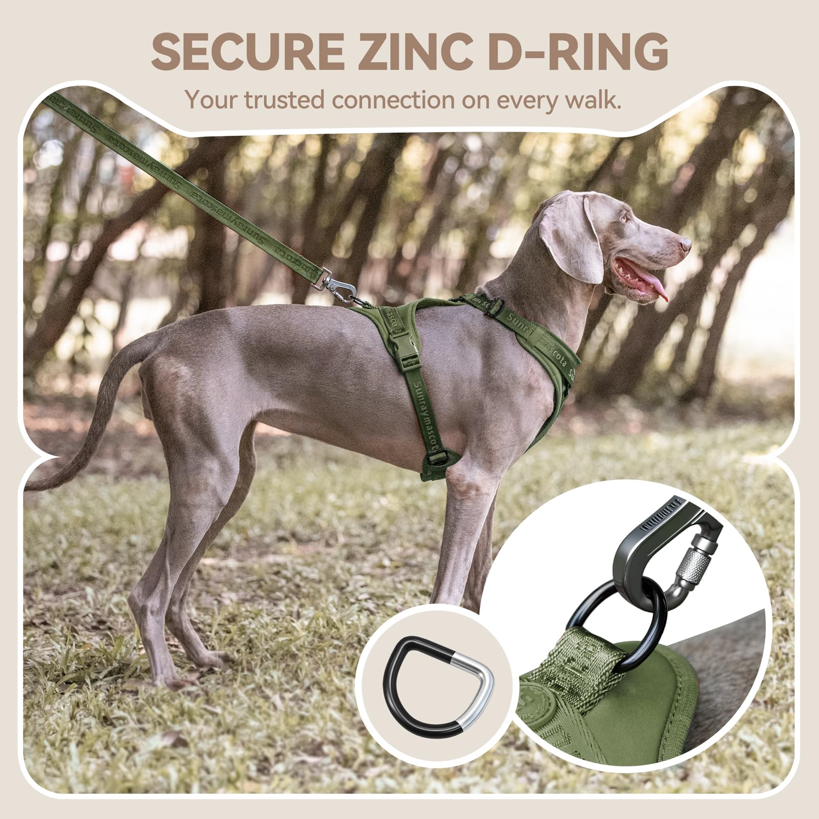 Sunraymascota no pull harness four adjustable straps accommodate dogs of multiple sizes