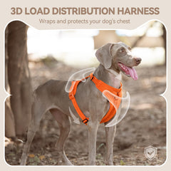 Sunraymascota No Pull Harness has soft fur-friendly lining to reduce irritation.