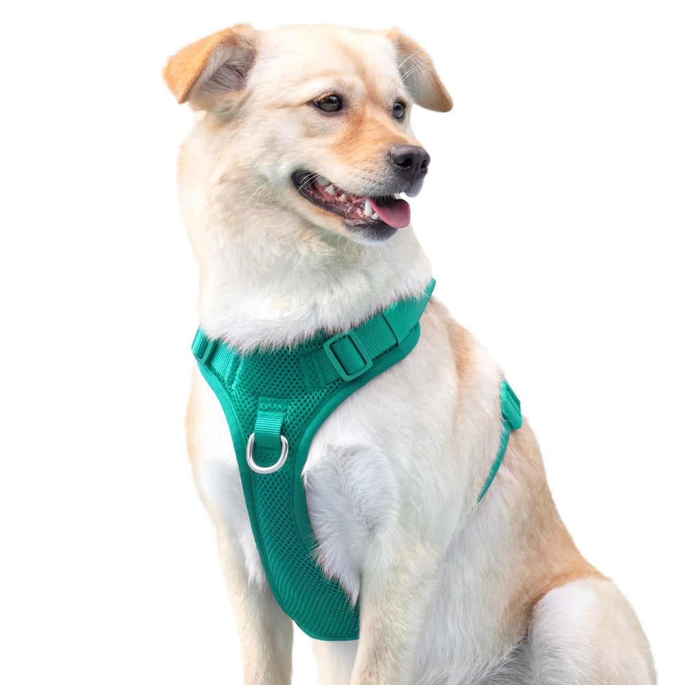 Sunraymascota No Pull Harness lightweight design reduces joint pressure during walks.