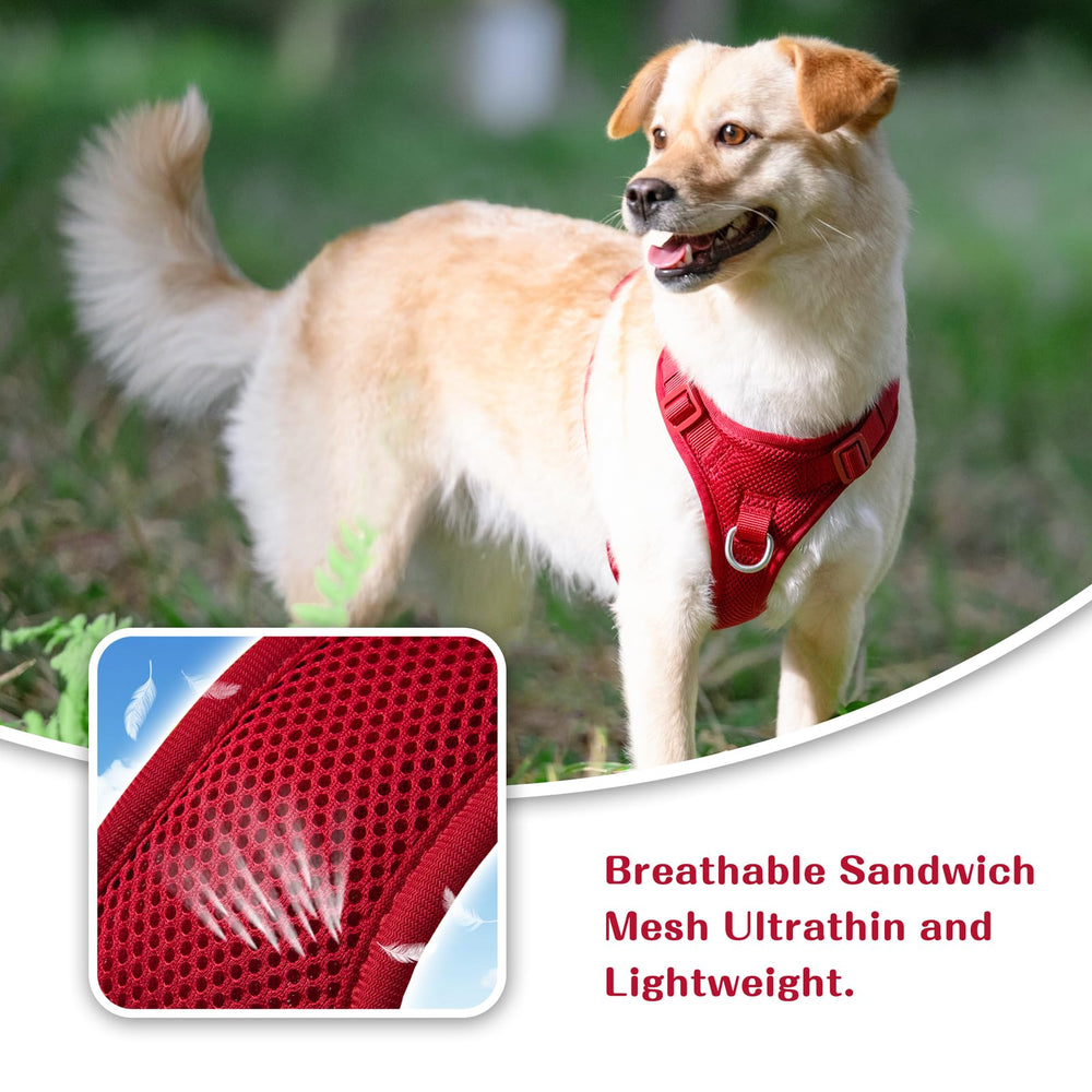Sunraymascota harness is lightweight and gentle on sensitive skin