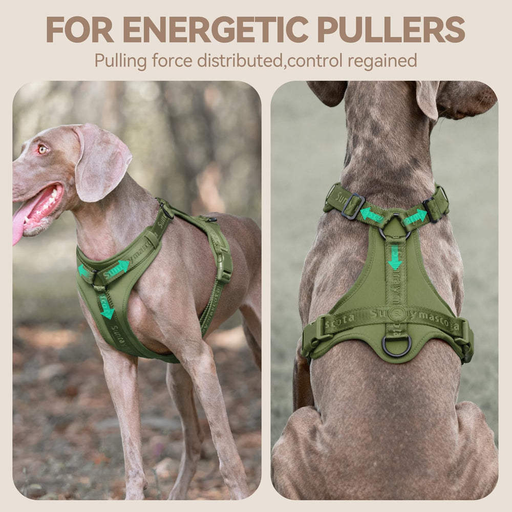 Sunraymascota No Pull Harness Lycra stretch straps enable freedom during daily walks