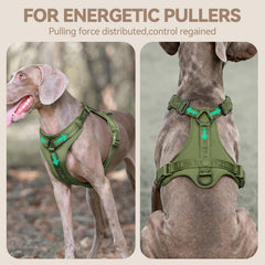 Sunraymascota No Pull Harness Lycra stretch straps enable freedom during daily walks