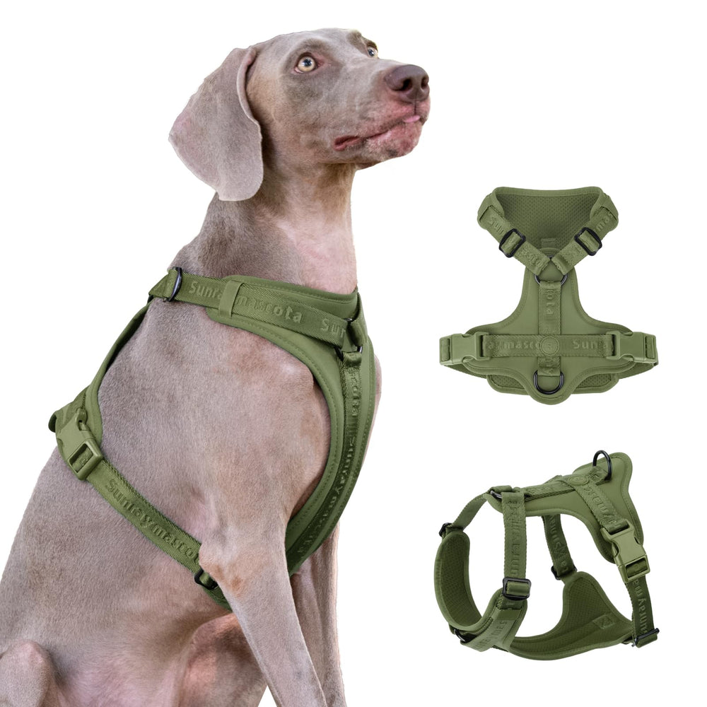 Sunraymascota no pull harness-lycra offers flexible, second-skin comfort for daily walks