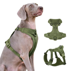 Sunraymascota no pull harness-lycra offers flexible, second-skin comfort for daily walks