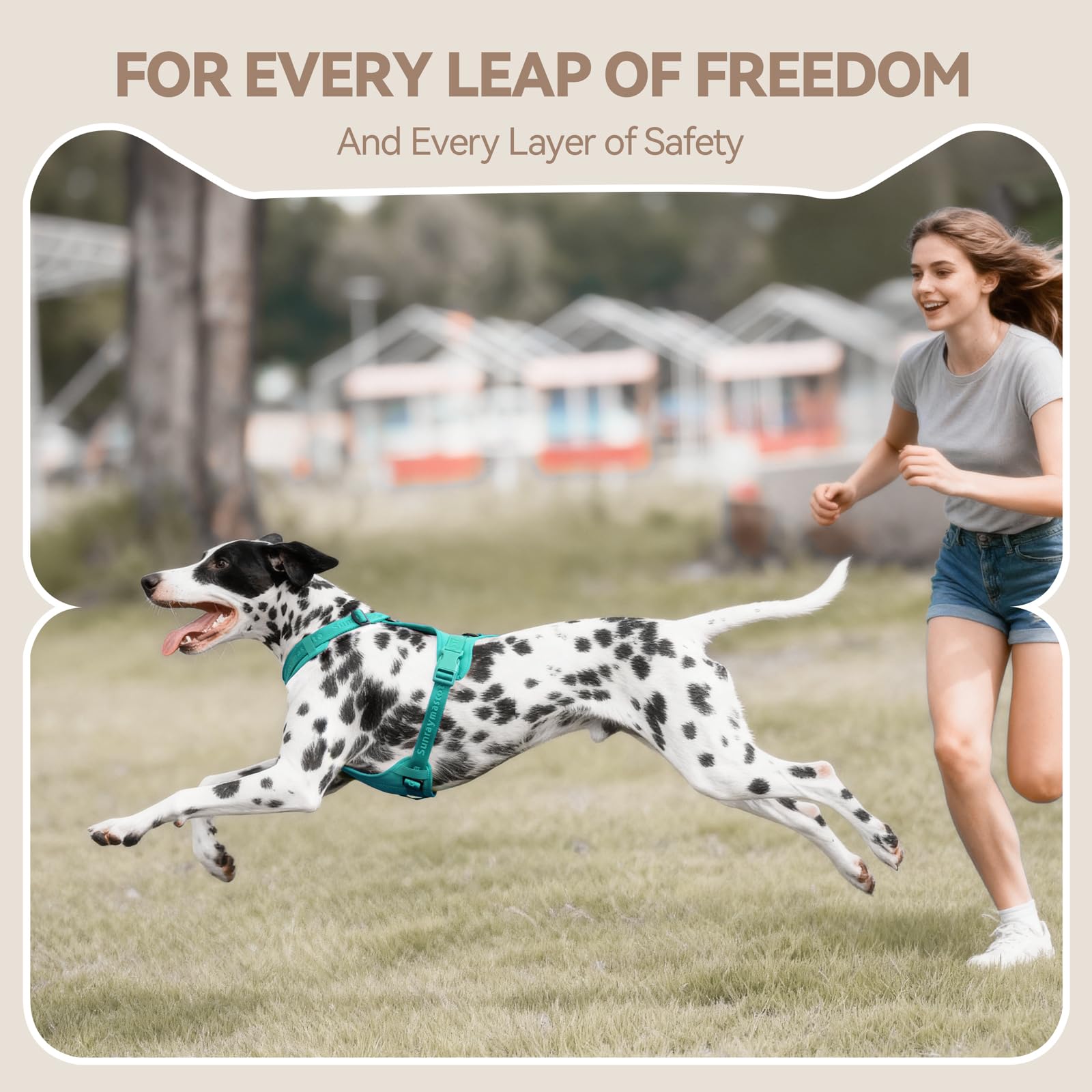 Sunraymascota No Pull Harness Marrs Green XS color on a small dog for visibility.