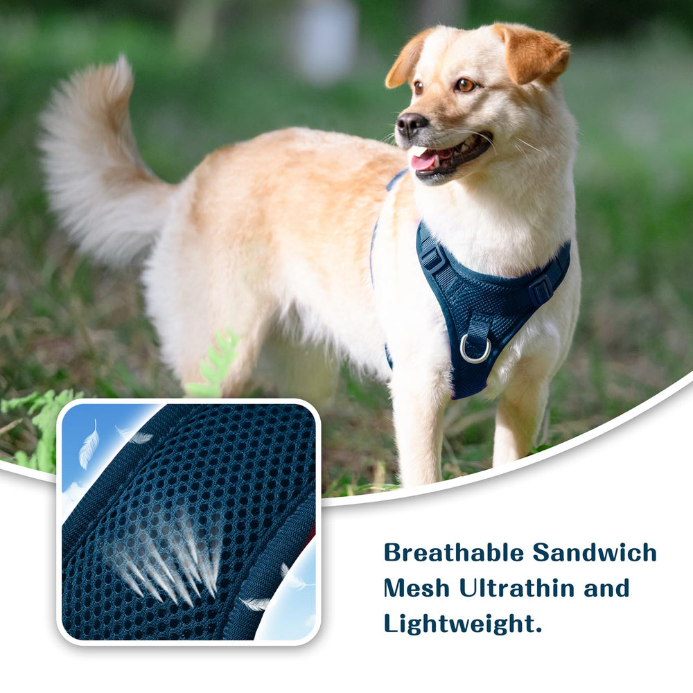 Sunraymascota no-pull harness quick-release snaps for easy on/off.