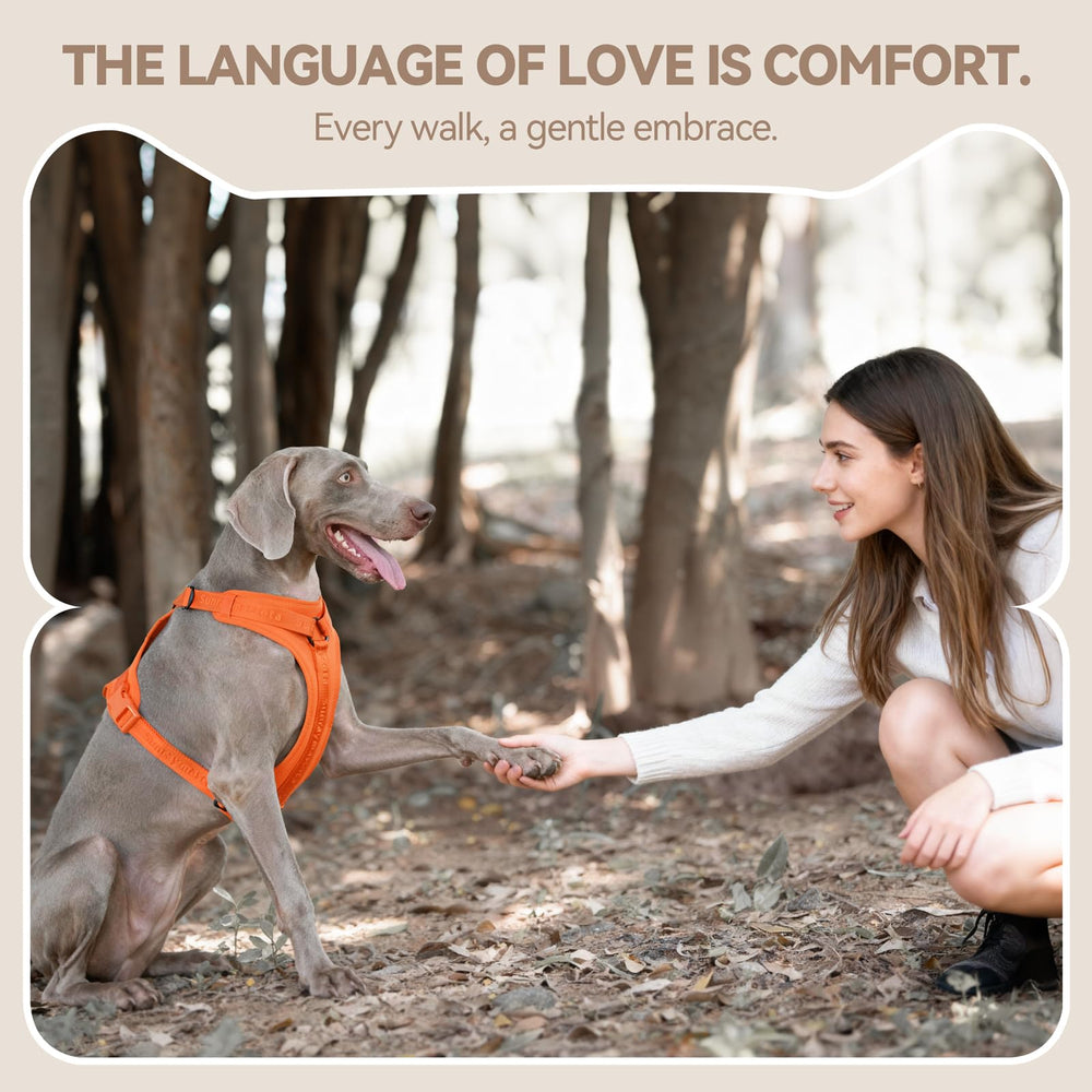 Sunraymascota No Pull Harness suits dogs of small to large sizes with comfort