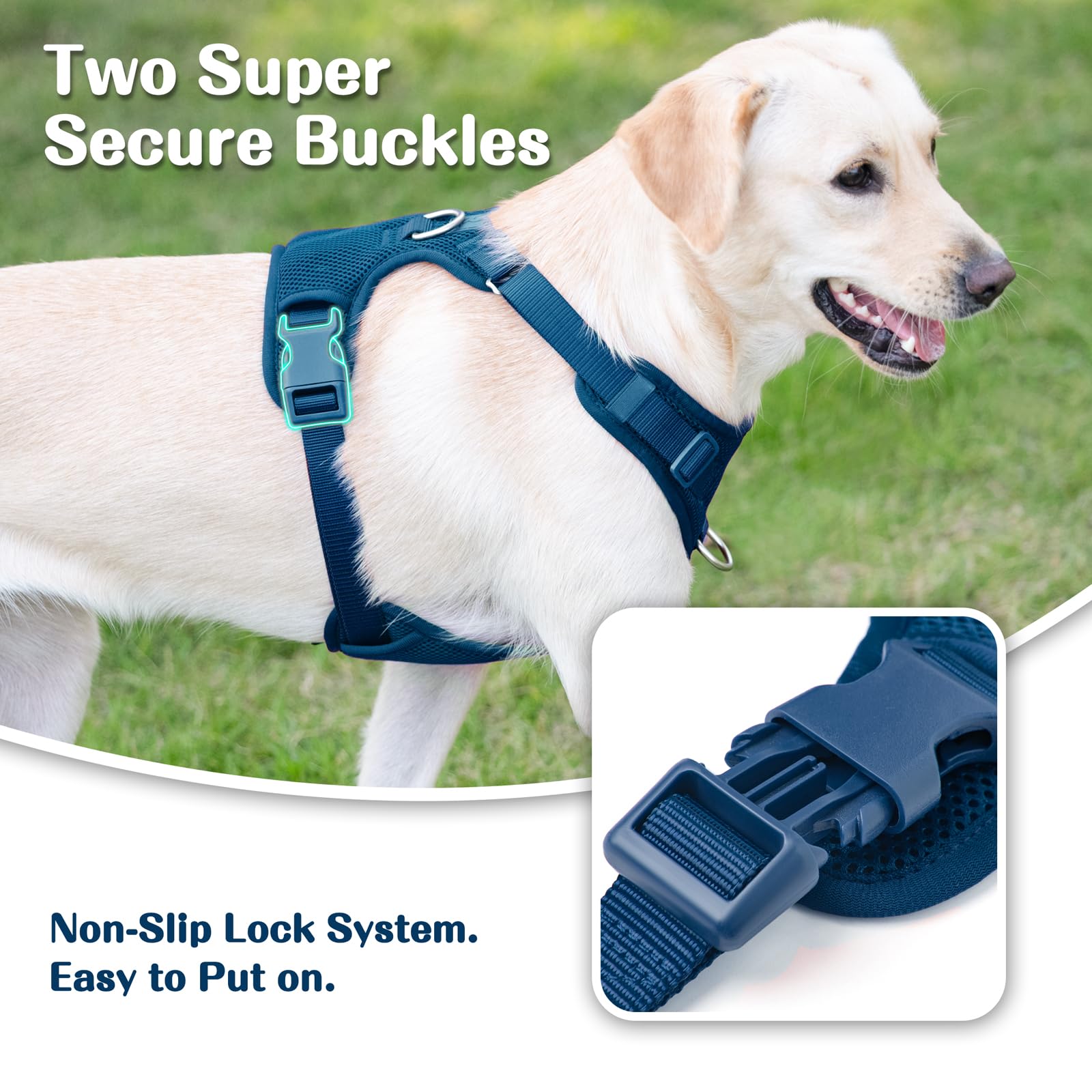 Sunraymascota soft breathable mesh keeps dogs cool on hot days