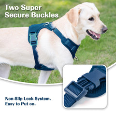 Sunraymascota soft breathable mesh keeps dogs cool on hot days