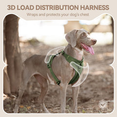 Sunraymascota no pull harness soft fur friendly inner lining reduces skin irritation and coat snag