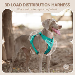 Sunraymascota No Pull Harness soft fur-friendly lining reduces skin irritation and fur snagging.