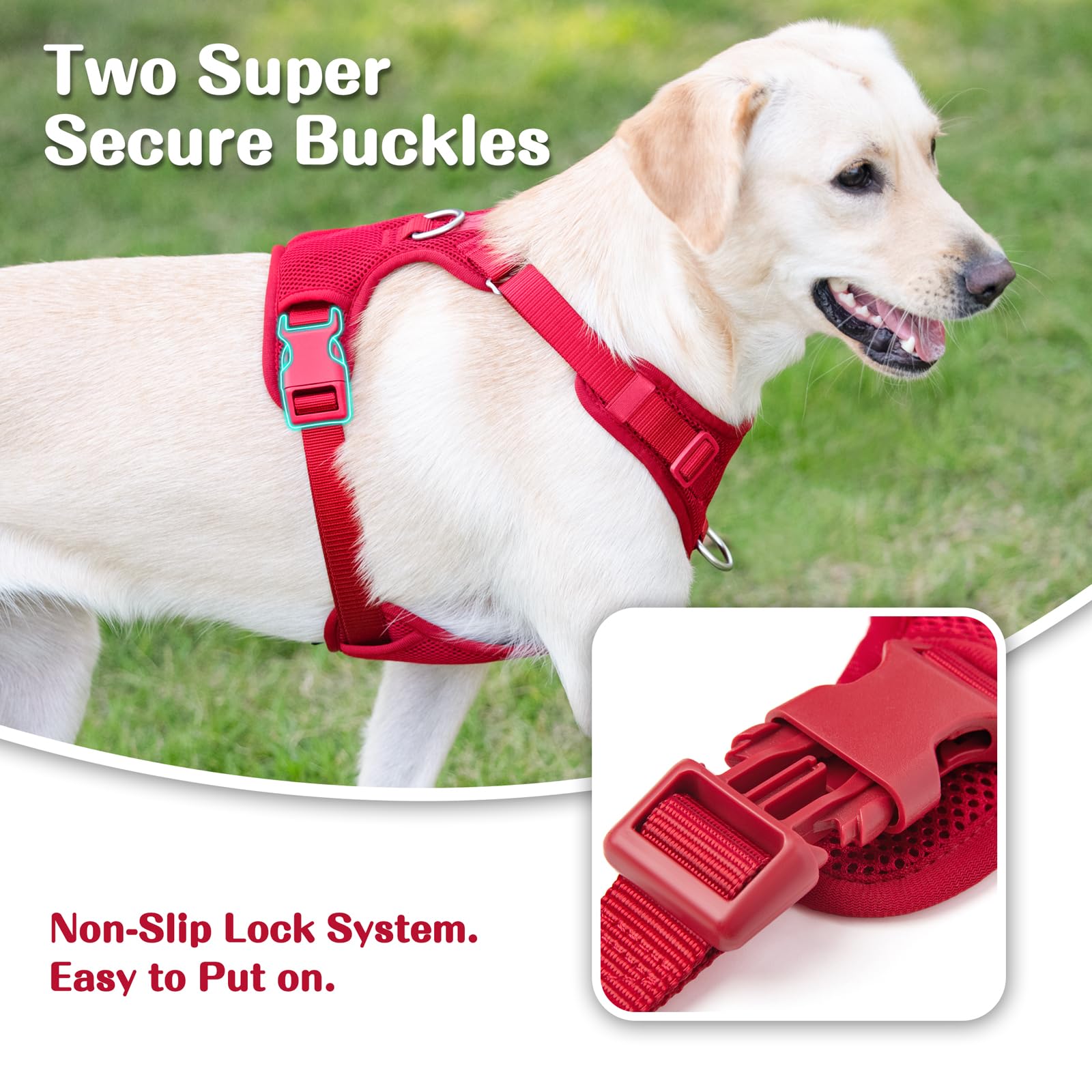Sunraymascota soft mesh keeps dogs cool and comfortable on hot days