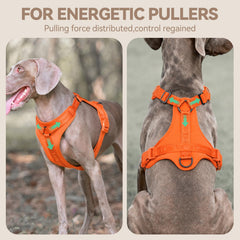 Sunraymascota No Pull Harness shows three-point dispersion for safer control during pulls