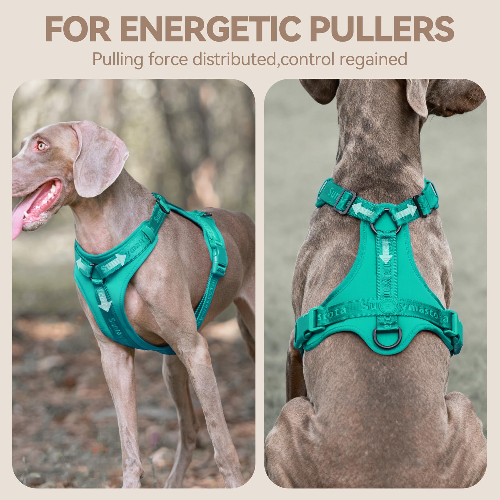 Sunraymascota No Pull Harness three-point dispersion demonstrates safer control during walks.