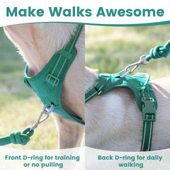Sunraymascota No Pull Harness top handle adds extra control in crowds