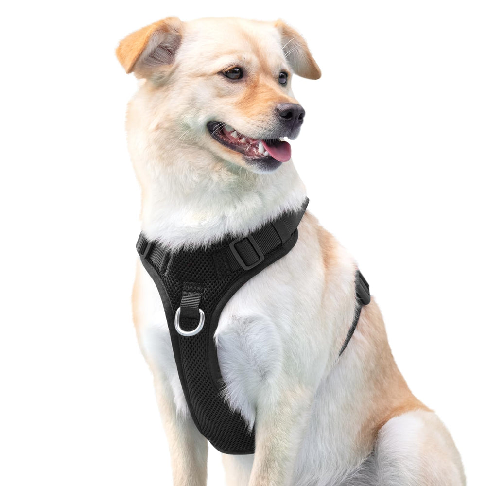 Sunraymascota No Pull Harness ideal for walks and hikes with dual-clip versatility.