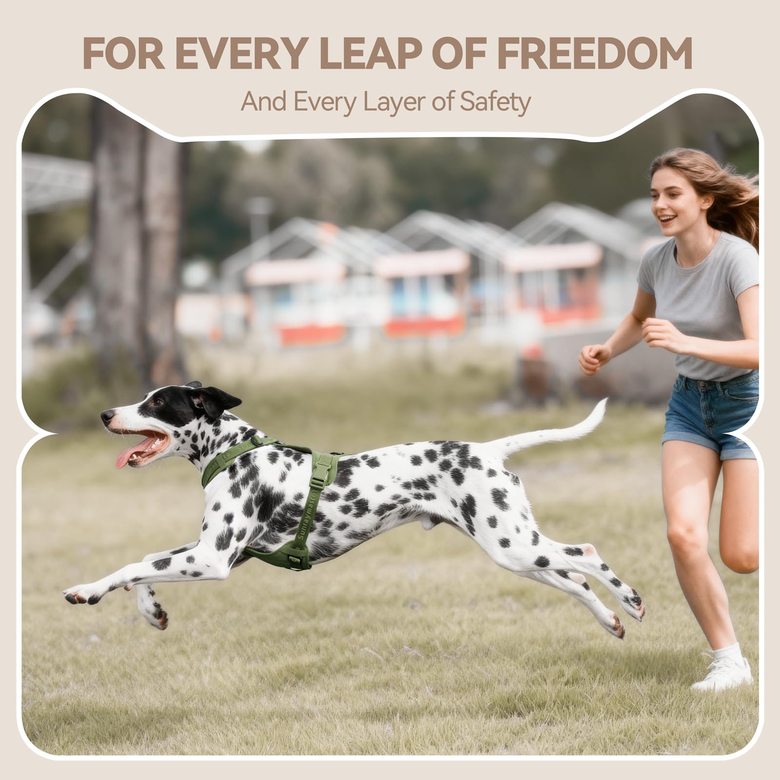 Sunraymascota no pull harness zinc alloy d ring offers sturdy leash connection in all conditions