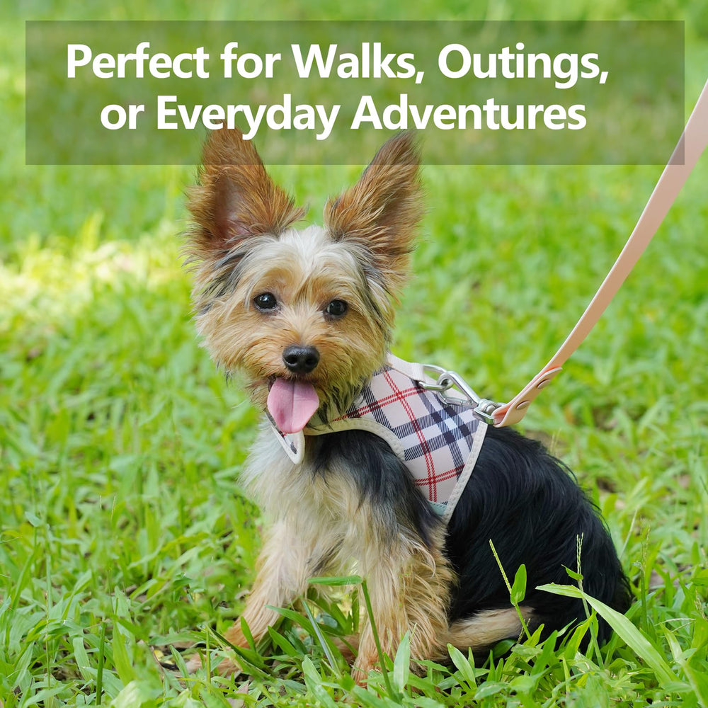 Sunraymascota puppy-walk comfort during active play sessions