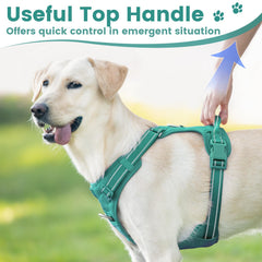 Sunraymascota Reflective strips improve low-light visibility for safer evening walks