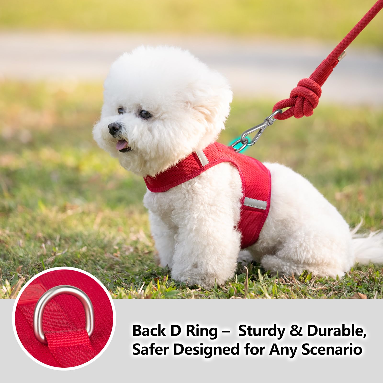 Sunraymascota small-breed harness with ergonomic fit for comfortable daily wear.