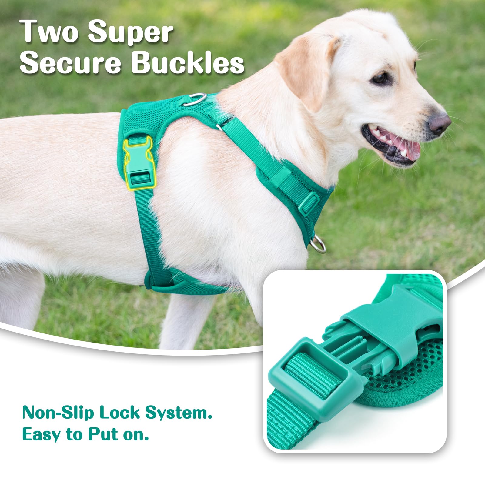 Sunraymascota soft breathable mesh minimizes overheating during walks