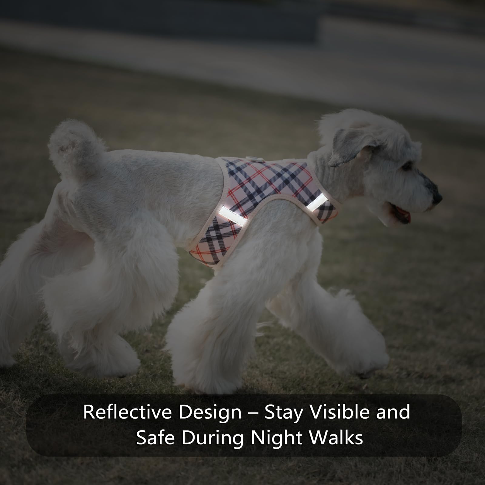 Sunraymascota soft mesh breathable material keeps tiny dogs comfortable