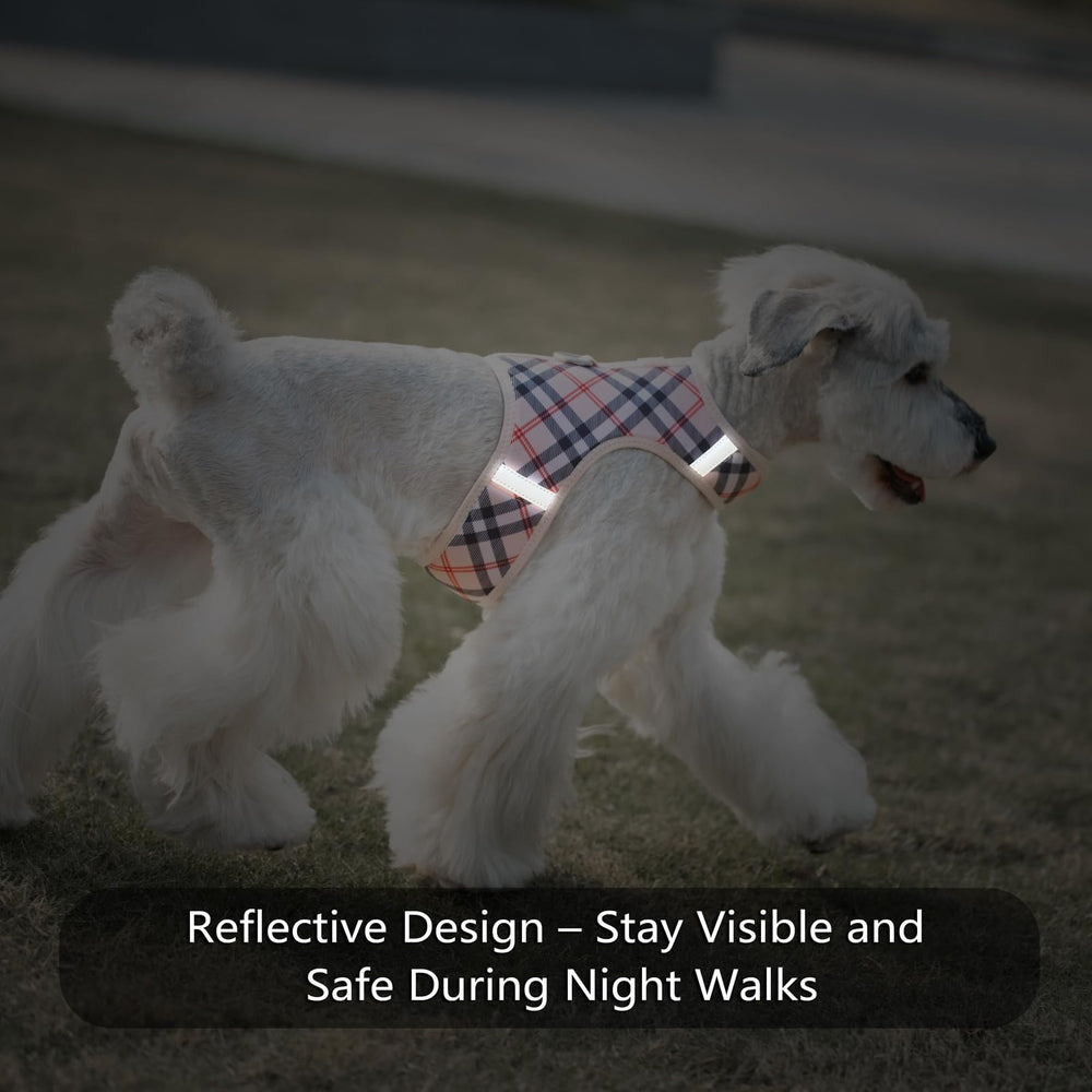 Sunraymascota soft mesh breathable material keeps tiny dogs comfortable