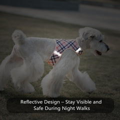 Sunraymascota soft mesh breathable material keeps tiny dogs comfortable