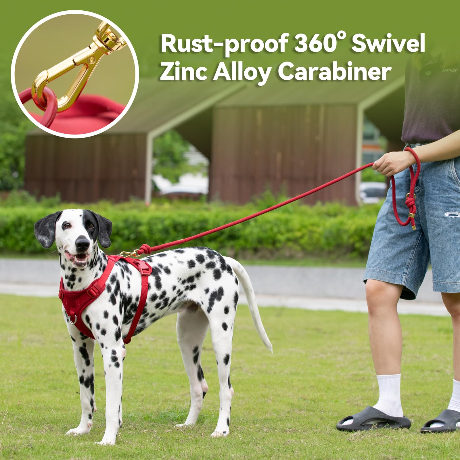 Sunraymascota water-resistant coating protects in wet conditions.