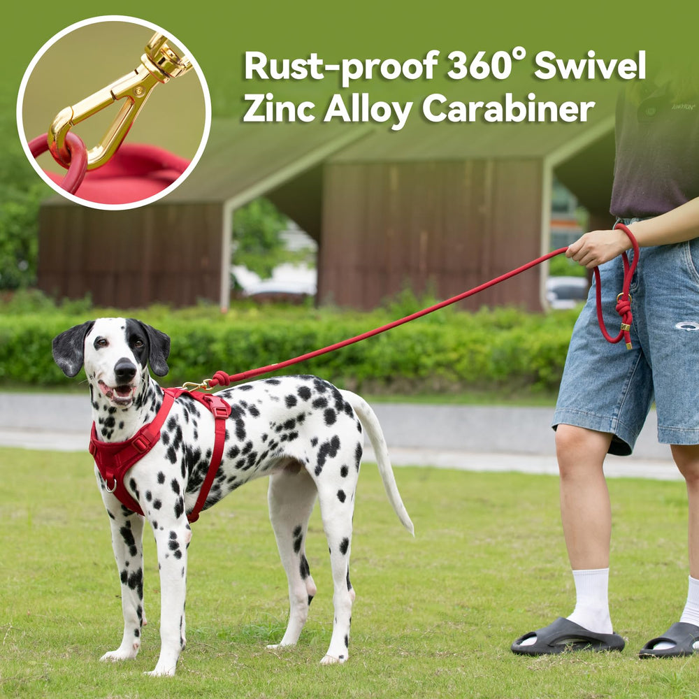 Sunraymascota water-resistant coating protects in wet conditions.