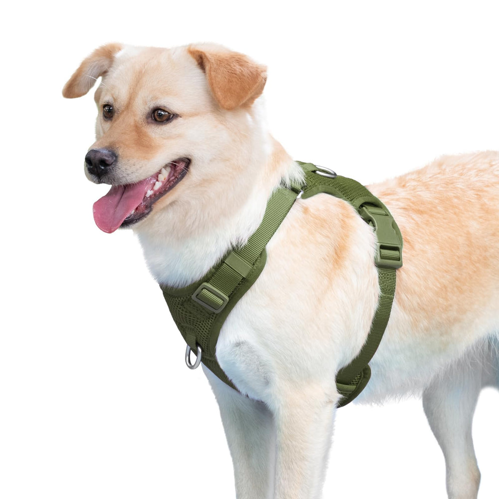 Sunraymascota XL Misty Green fit for secure all-day wear.