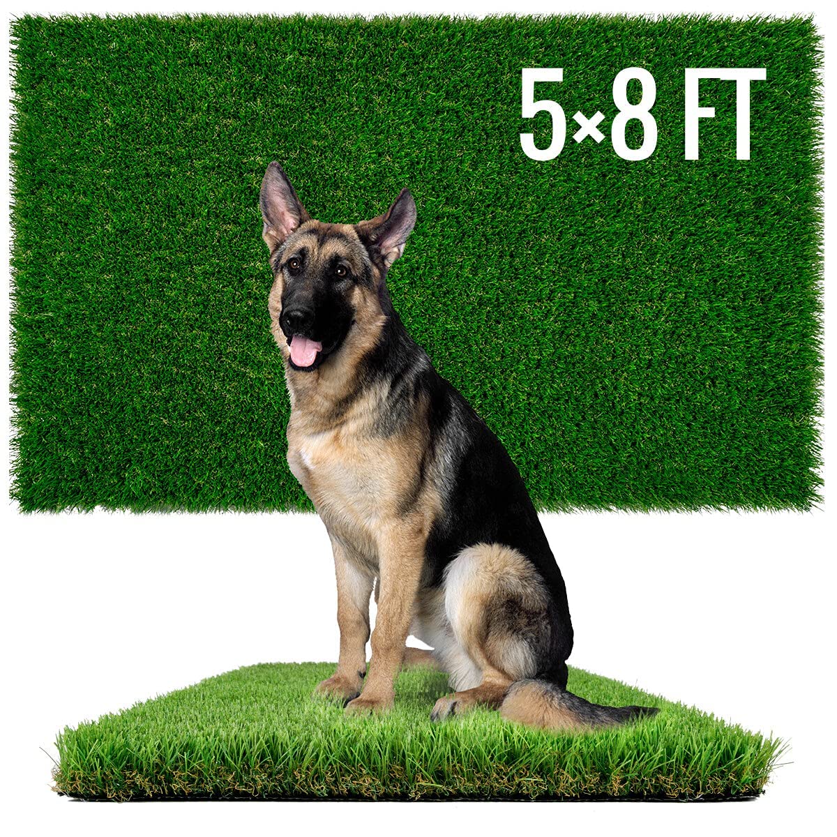 Sunturf Dog Pee Grass close-up highlights soft-touch turf for gentle training.