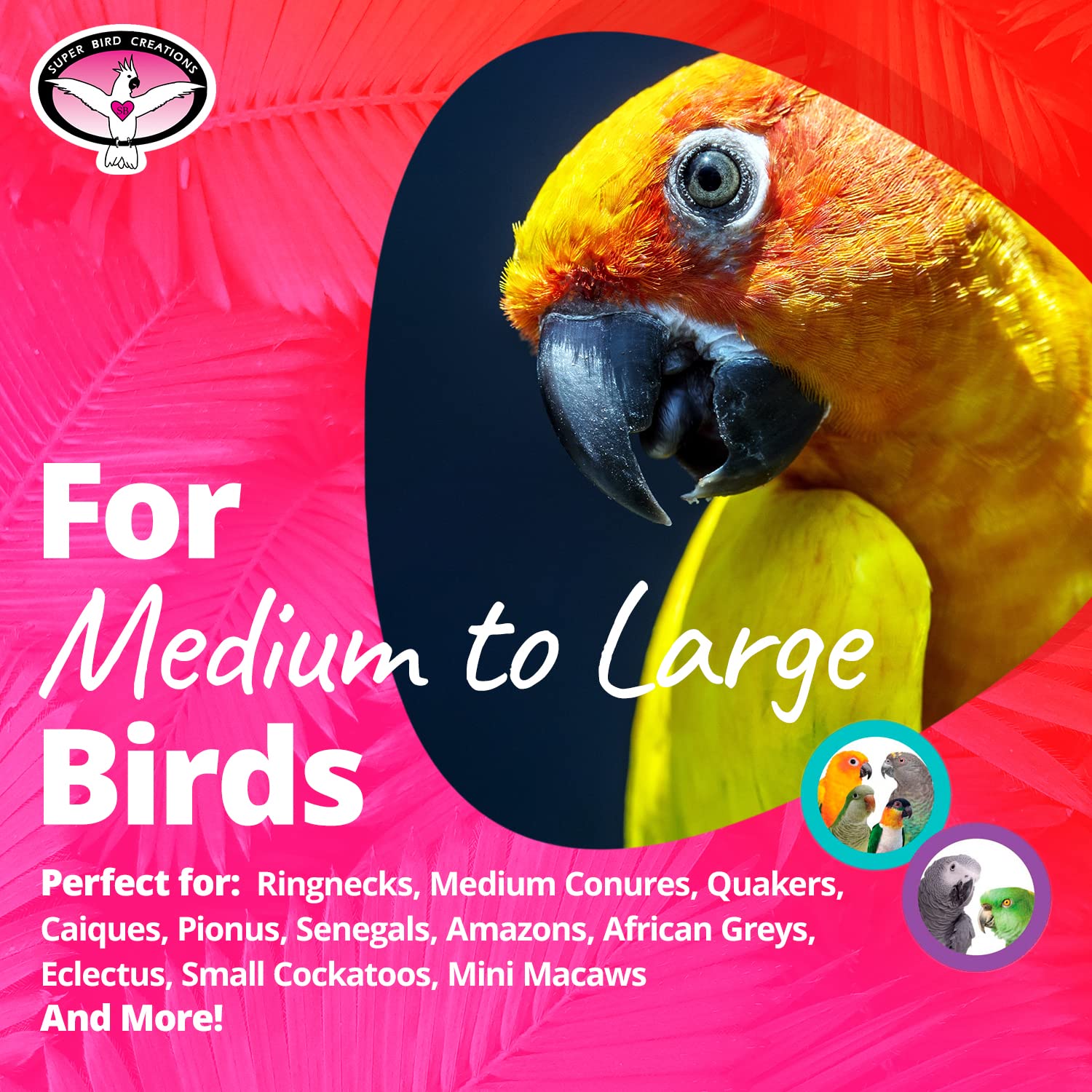 Super Bird Creations SB126 fold-away storage design makes setup and stowage easy.