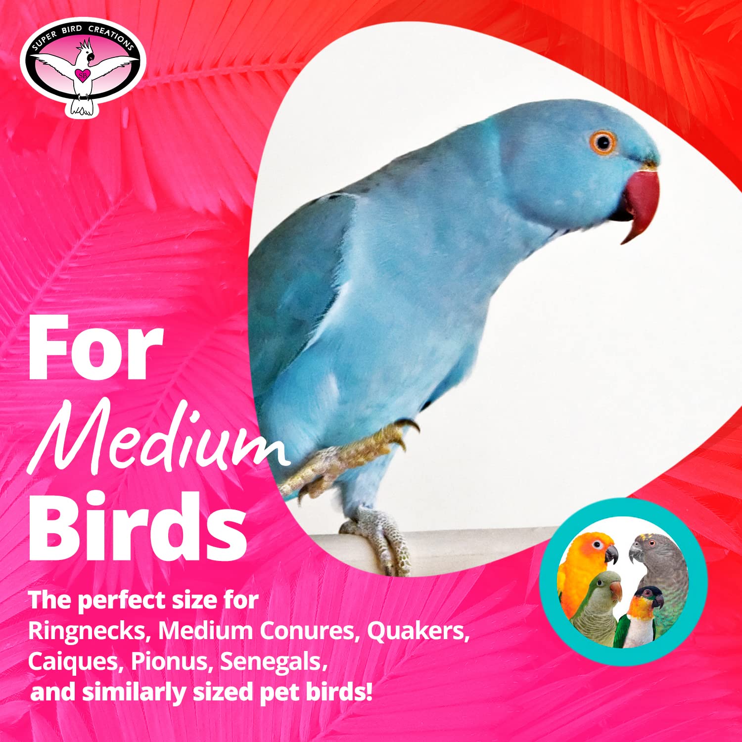 Super Bird Creations SB324 colorful bungee toy assembly demonstrates easy setup
