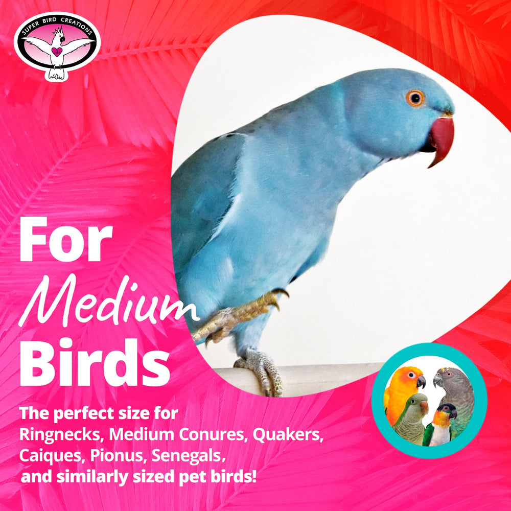 Super Bird Creations SB324 colorful bungee toy assembly demonstrates easy setup