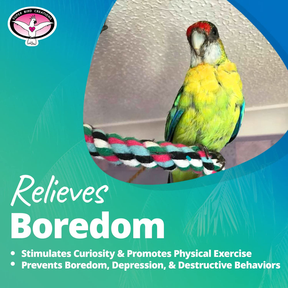 Super Bird Creations SB324 colorful toy offers entertainment and exercise opportunities