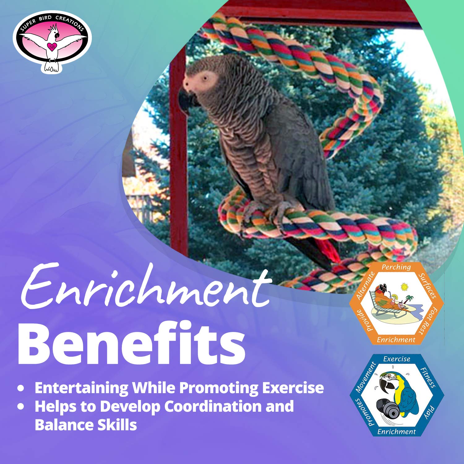 SB325 enrichment shot with Amazons and African greys illustrating stimulating environment.