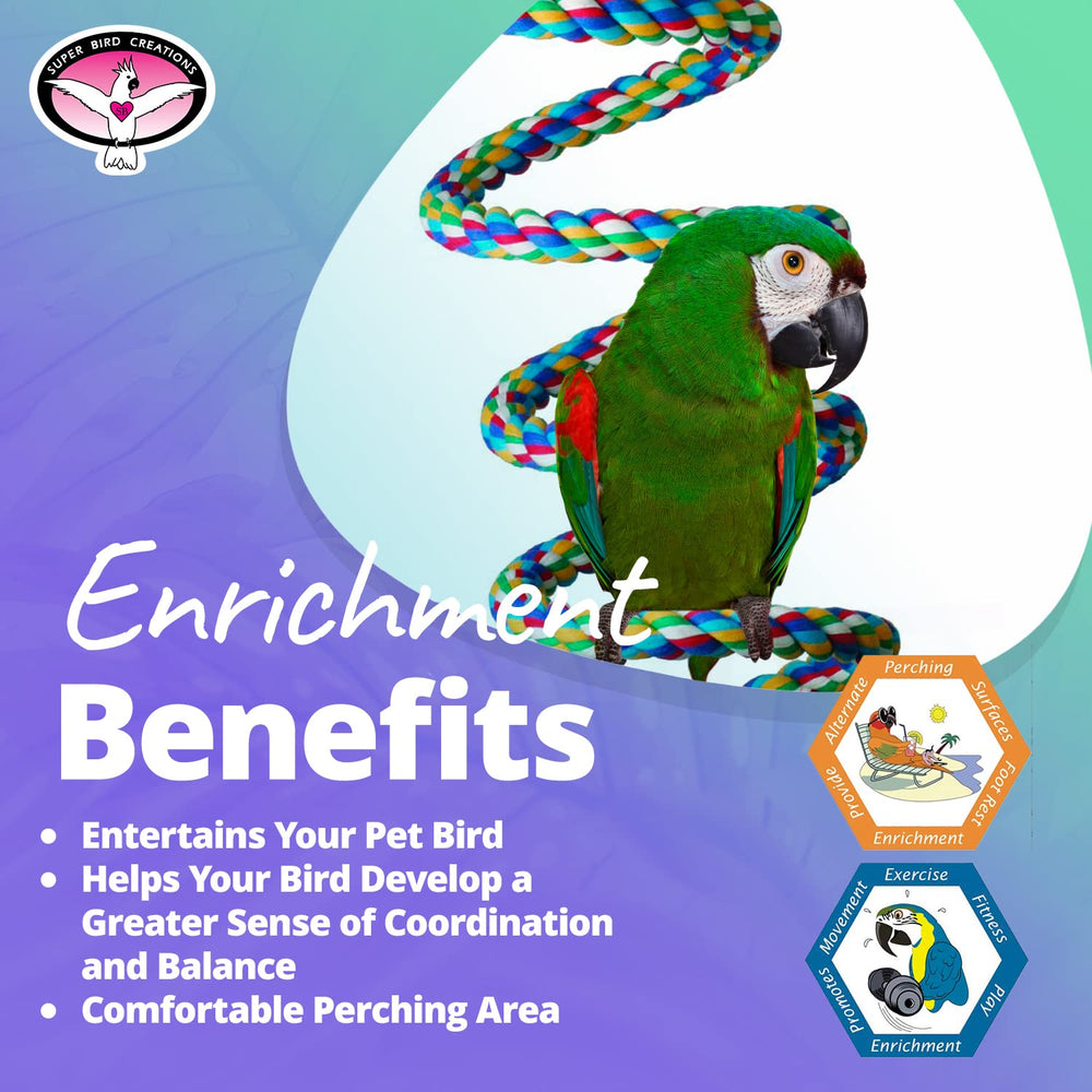 Super Bird Creations SB326 bungee toy bird being playful demonstrates enrichment in home cages.