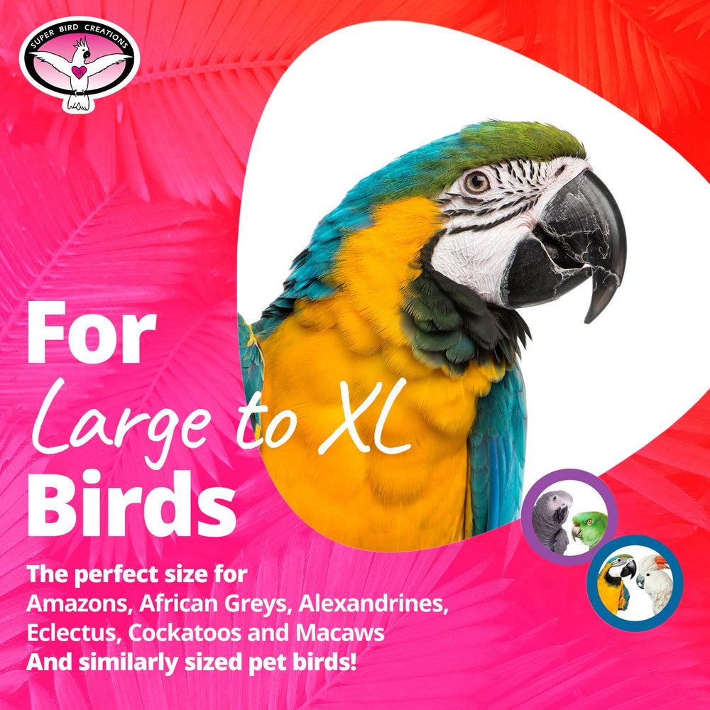 Super Bird Creations SB326 bungee toy colorful segments attract curiosity and active flock engagement.