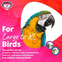 Super Bird Creations SB326 bungee toy colorful segments attract curiosity and active flock engagement.