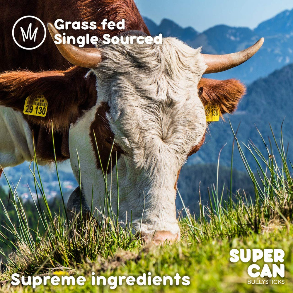 SUPER CAN BULLYSTICKS 6in beef-gullet-stick-free-range-beef highlights ingredients.