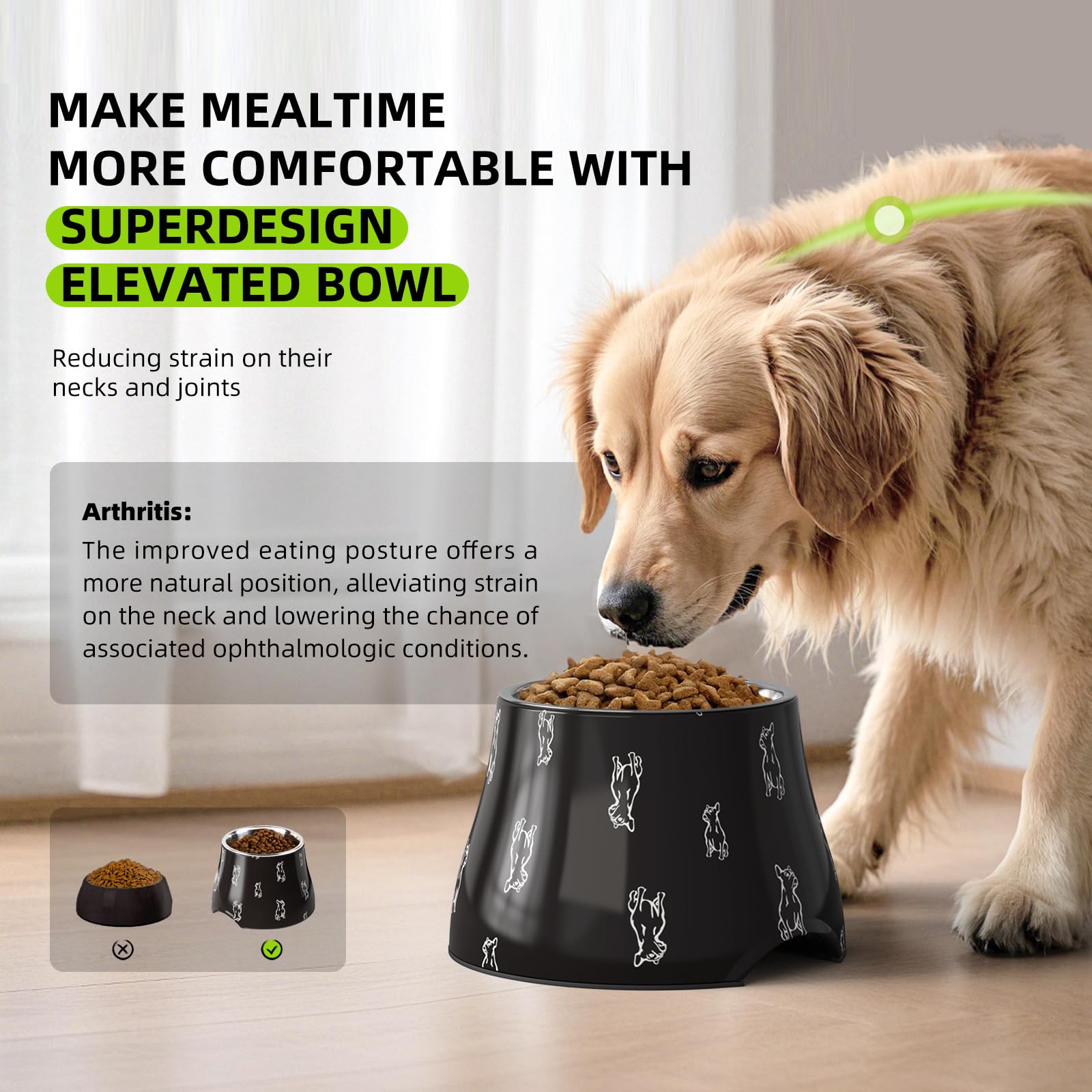 Super Design non-slip base keeps the elevated dog bowl steady during meals.