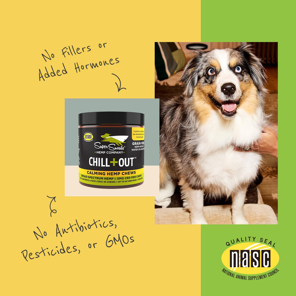 Super Snouts Chill Out ingredients list showing hemp, chamomile, passion flower.