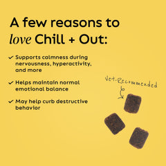 Super Snouts Chill Out dog treats jar for convenient calming treats.