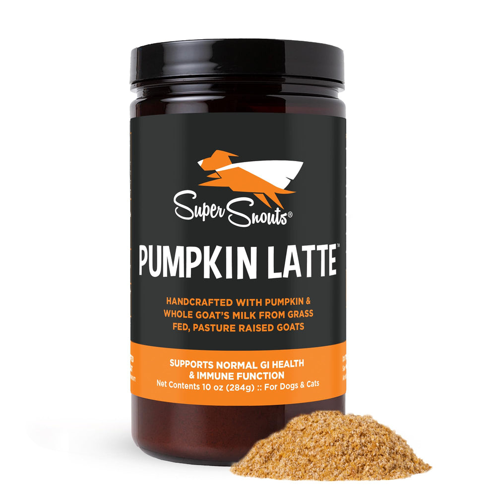 Super Snouts Pumpkin Latte bottle close-up showcasing pumpkin powder with goat’s milk for gentle digestion.