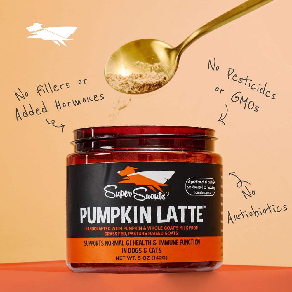 Super Snouts Pumpkin Latte jar on countertop with pet-ready serving suggestion.