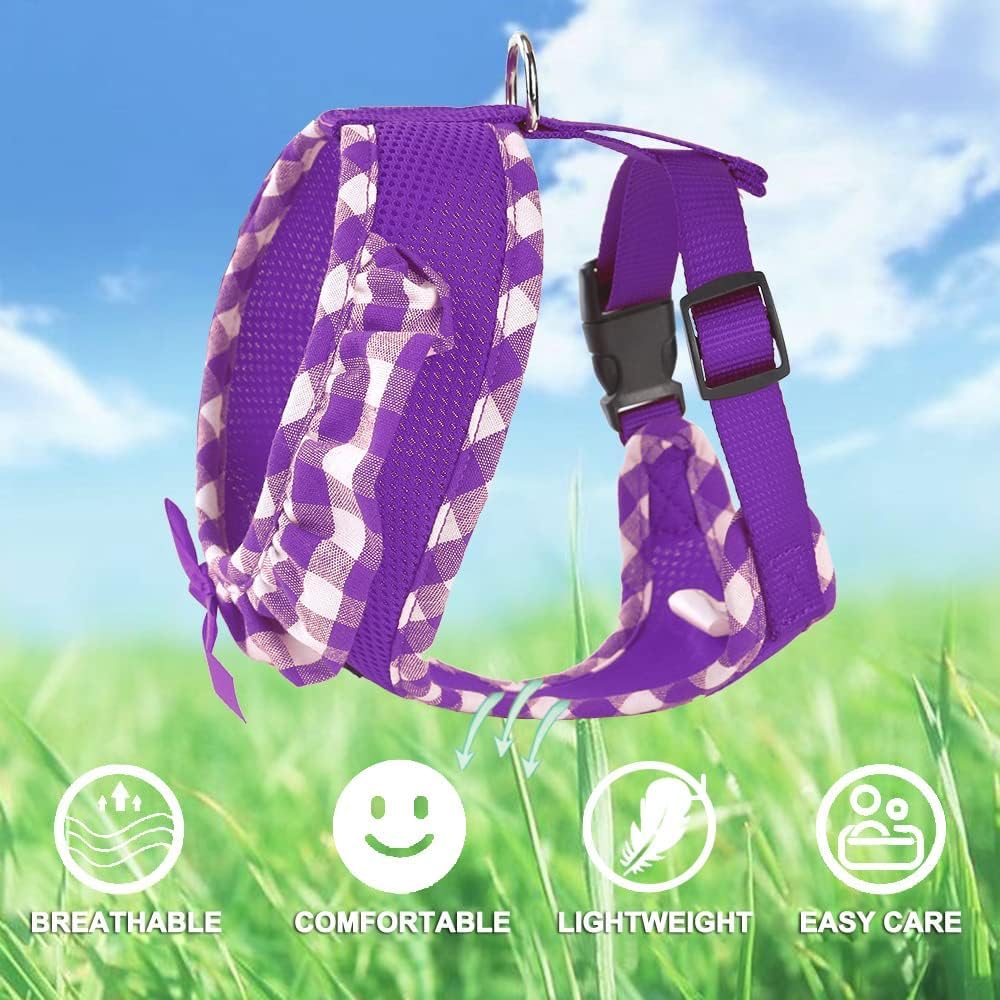 Arnés ligero SuperBuddy ideal para paseos y actividades al aire libre.