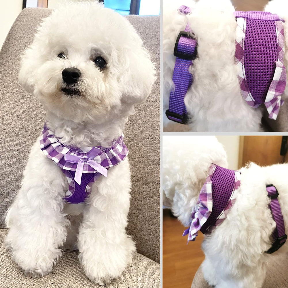 SuperBuddy fashion-forward floral bibs and bowtie add cute style during walks