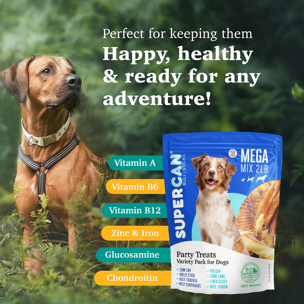 Super Can Bullysticks Mega Mix dehydrated chews ensure long-lasting enjoyment and easy portioning.