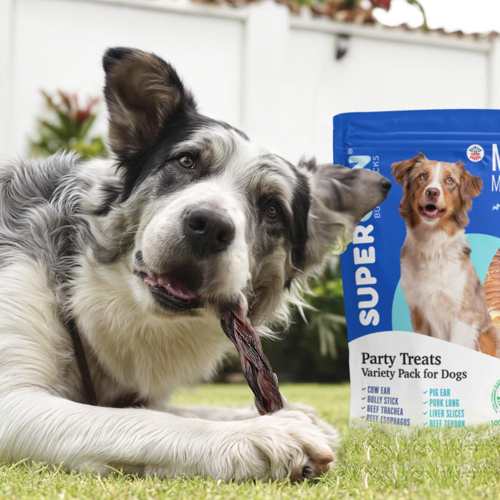 Super Can Bullysticks Mega Mix liver fillets provide a protein-rich treat for dogs.